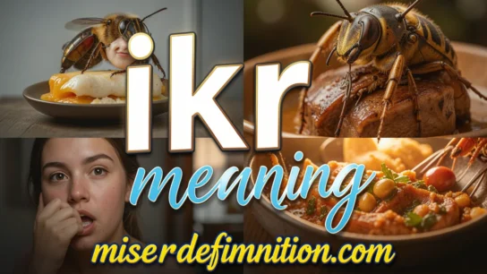 ikr meaning
