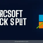 Microsoft Stock Split: History, Latest Updates & Future Outlook
