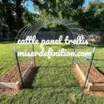 Cattle Panel Trellis: How to Build a Strong DIY Garden Arbor