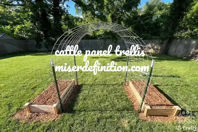 Cattle Panel Trellis: How to Build a Strong DIY Garden Arbor