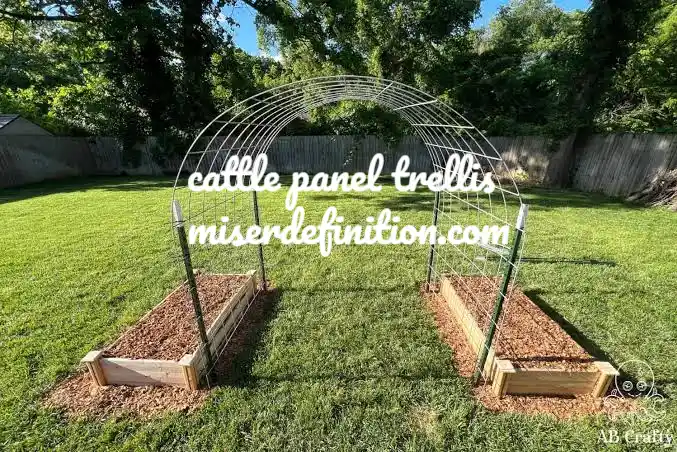 cattle panel trellis